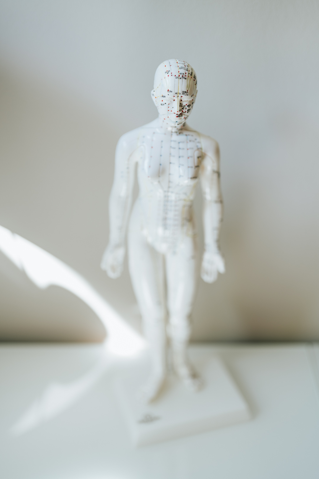 Wahltherapeuten in Wals Wahltherapeuten in Wals